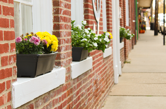 downtown street with flowers